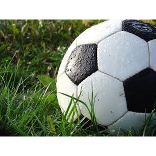 FIFA 2026世界杯官网